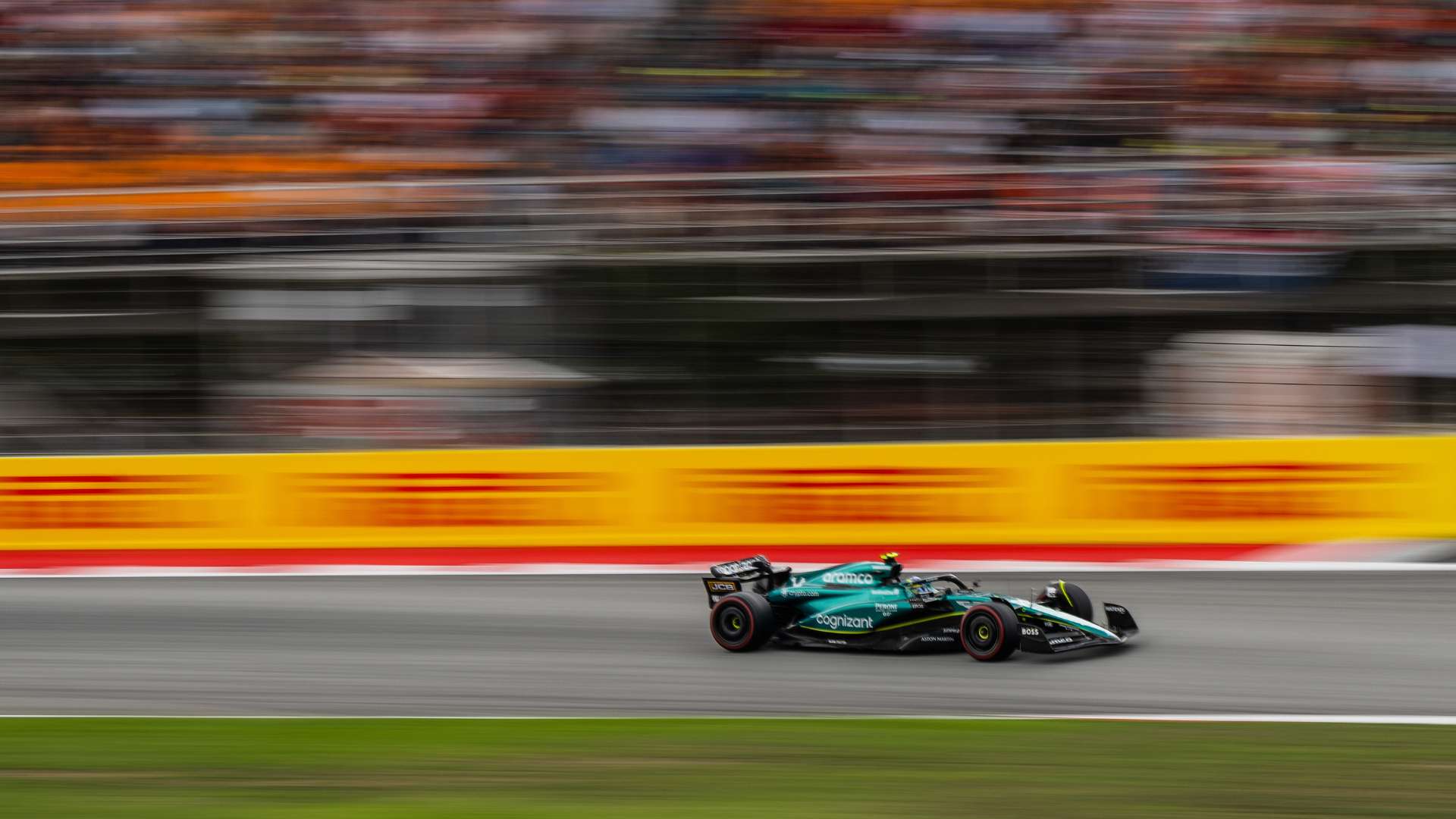 他的自信不 他的自信不